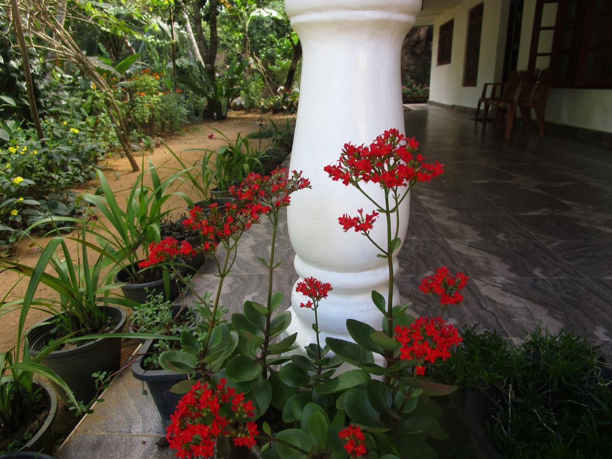 Maneesha Guest House فيليغاما المظهر الخارجي الصورة